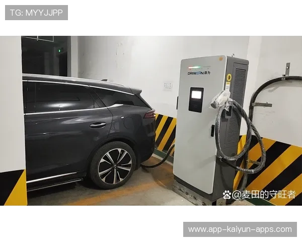 召回潮下，国产充电设备企业面临转型考验，中国充电设施行业十大竞争力品牌