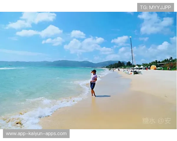 海湾者年轻球员潜力无限，未来可期，海湾什么