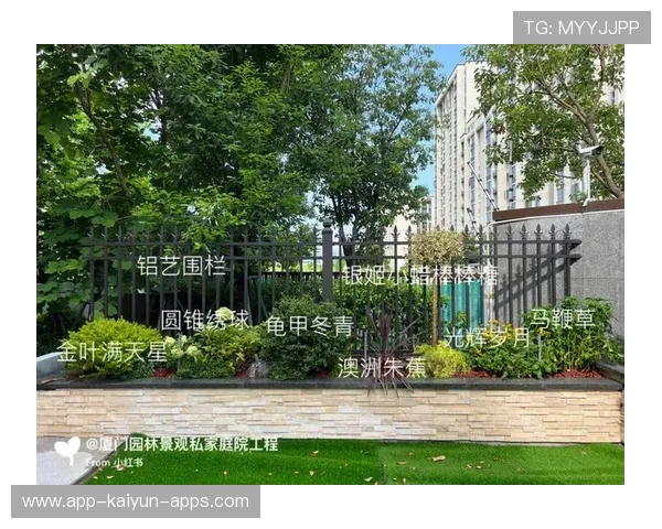 资深园艺师的布局：他是如何通过植物高低错落营造出空间层次感的